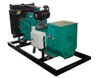 PLANTAS EL�CTRICAS 20KW