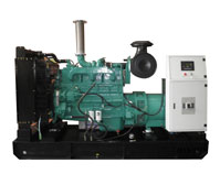 PLANTAS EL�CTRICAS 300KW